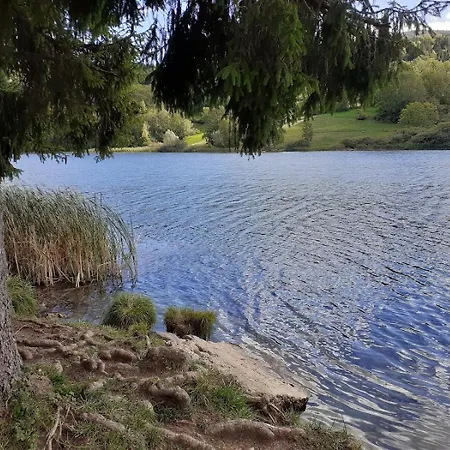 Feriehus Les Mesanges Puygros