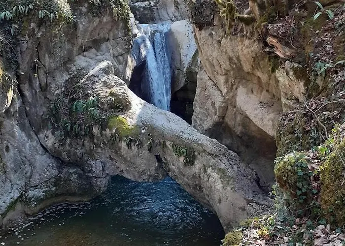Les Mesanges